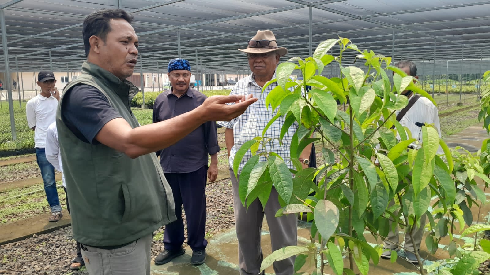 70.000 Bibit dari Rumpin Mulai Didistribusikan ke Tanah Ulayat Baduy Lebak Lewat 8 Pintu Masuk
