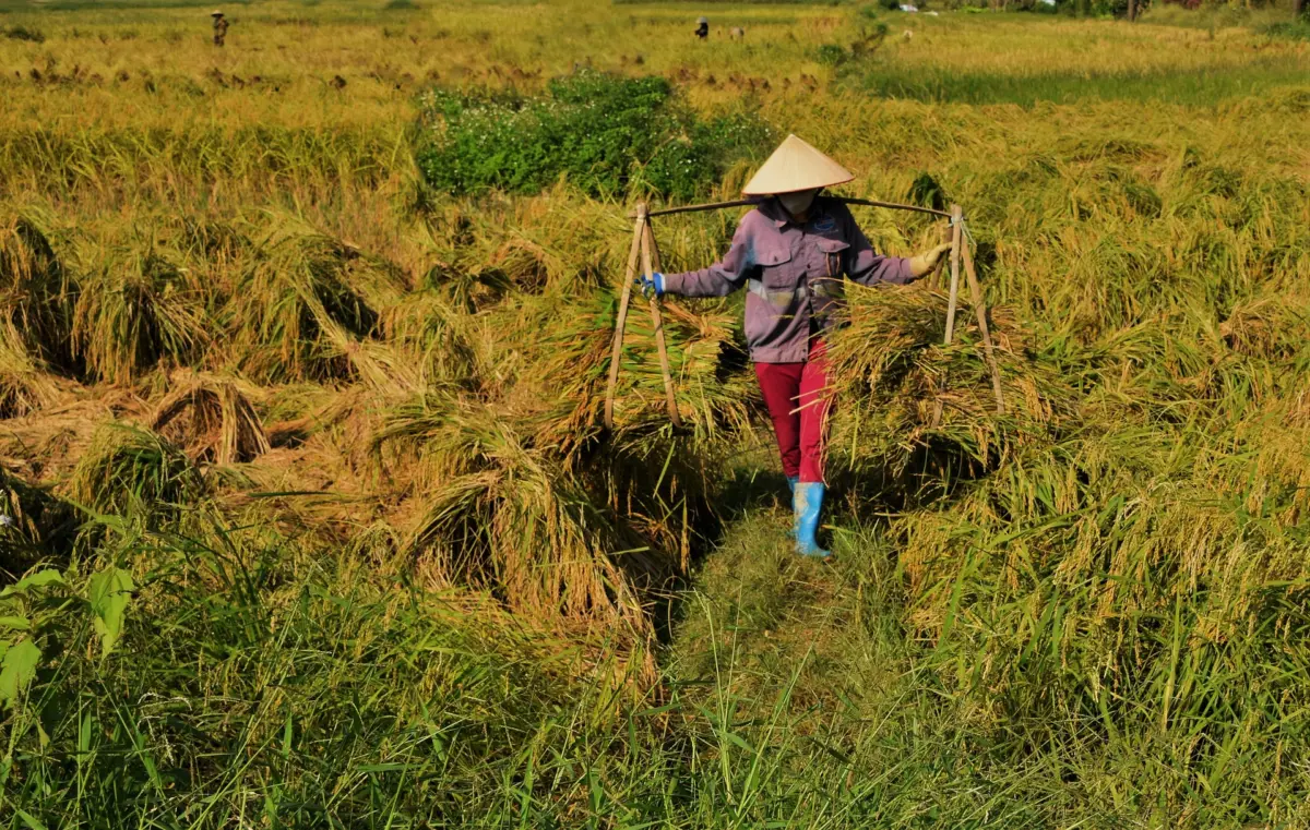 Guru Besar IPB Dorong Kemitraan Petani dan Dunia Usaha Perkuat Reforma Agraria di Jawa Barat