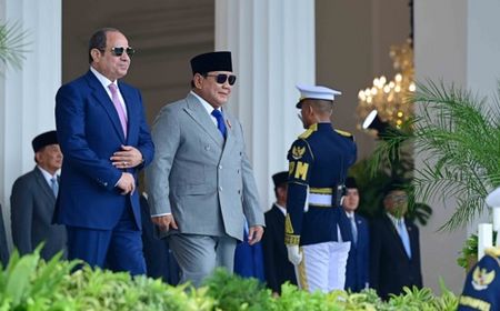 Mesir Tambah Beasiswa untuk Mahasiswa Indonesia, Kedokteran hingga Sains