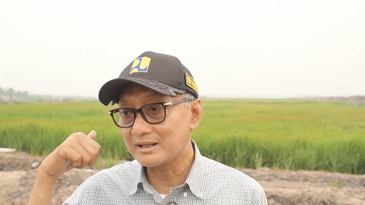 Menteri PU Kebut Irigasi Wanam Merauke, Panen Perdana Padi Ditarget November 2026