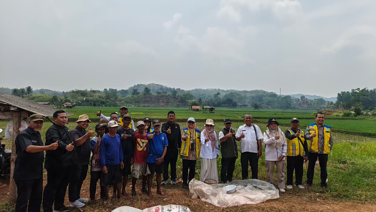 Pemkab Purwakarta Petakan 200 Titik Rawan Kekeringan, Sawah 30 Hektare di Campaka Jadi Perhatian