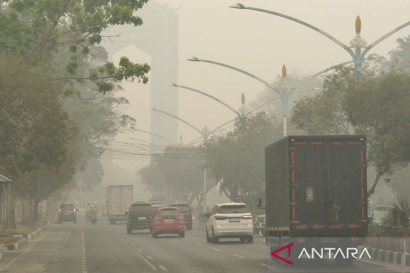 OJK Kalteng Sebut Stabilitas Jasa Keuangan Terjaga saat Karhutla, Aset Bank Umum Tembus Rp105,27 Triliun