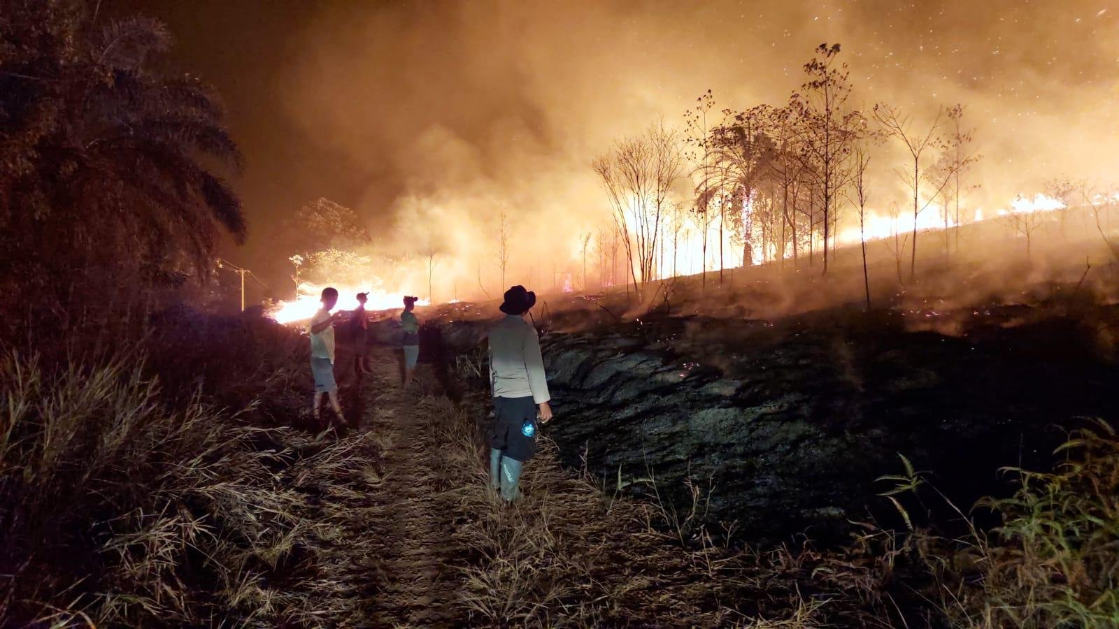 Kebakaran Lahan 30 Hektare di Routa Konawe Nyaris Sambar Puskesmas dan Kantor Camat, Api Padam Dini Hari