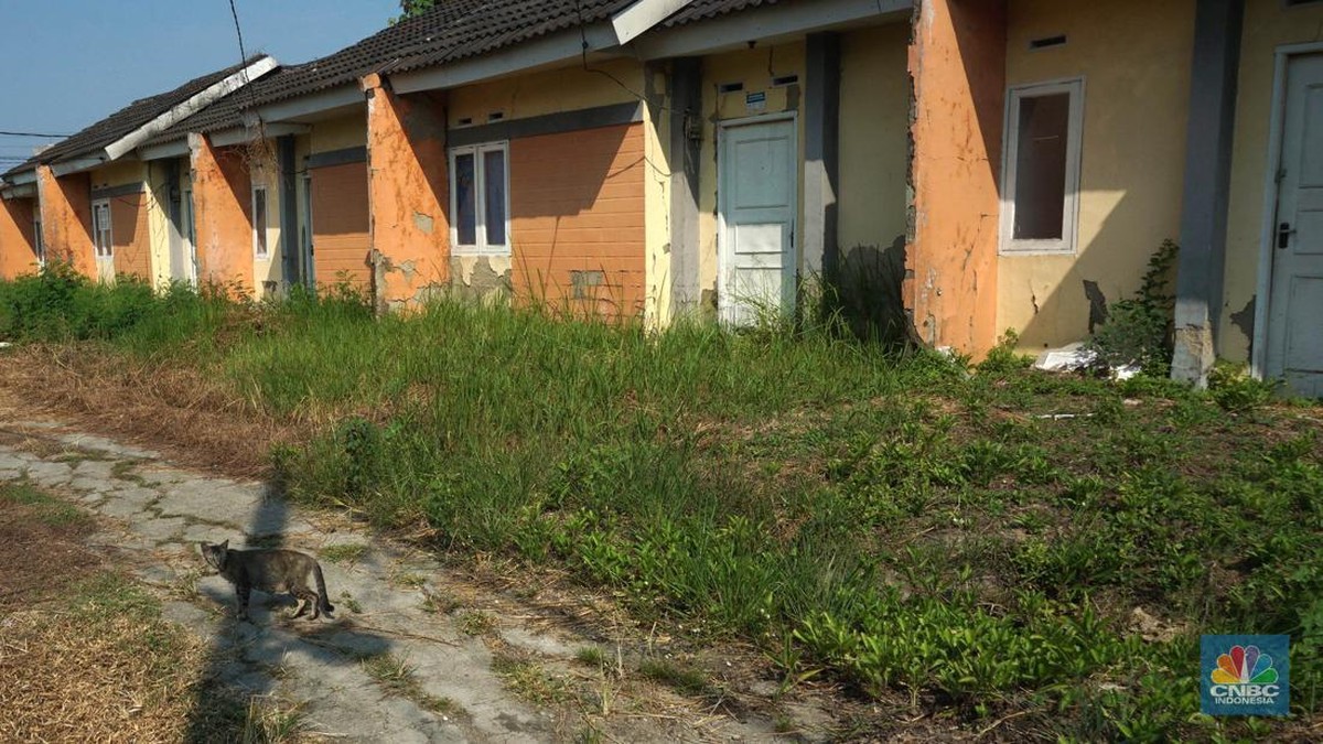 Rumah Subsidi Baru Tersalur 50,6% pada 2026, Pengembang Usul Harga Naik Rp500 Juta