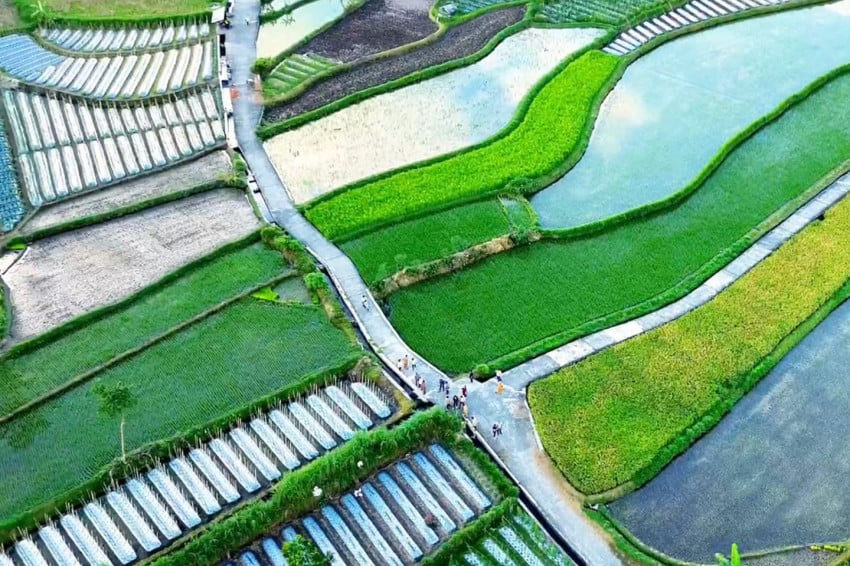 UU Reforma Agraria Disahkan, Kepastian Hukum Jadi Kunci Investasi Sektor Tanah