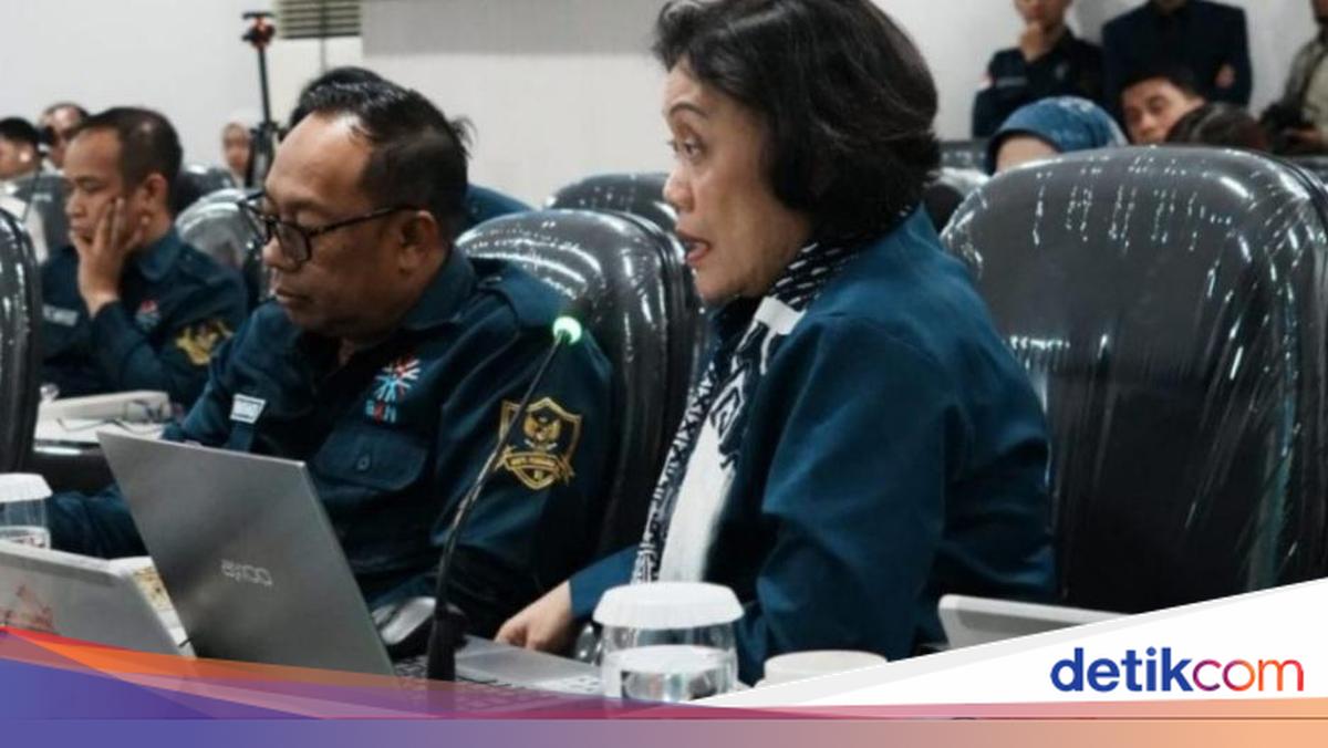 BKN Sentil Pemprov Sulbar Lagi, Layanan ASN Diblokir 7 Bulan gegara 95 Pejabat Dinonjobkan