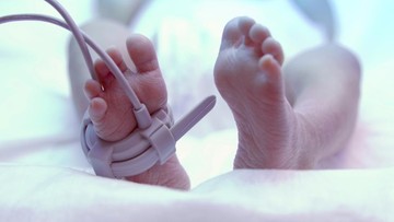 Bahaya Memberi Makan Bayi di Bawah 6 Bulan: Kasus Alena Jadi Pelajaran