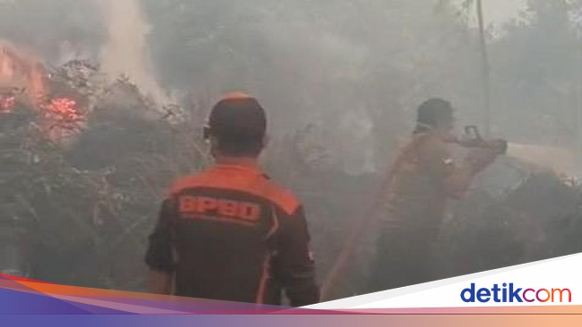 Gubernur Kalteng Agustiar Sabran Belum Usulkan Karhutla Jadi Bencana Nasional, Sebut Ada Ketentuan yang Harus Dipenuhi
