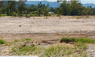 Banjir Bandang Padang Rendam 34,5 Hektare Sawah di Kuranji, Petani Beralih ke Kangkung dan Cabai