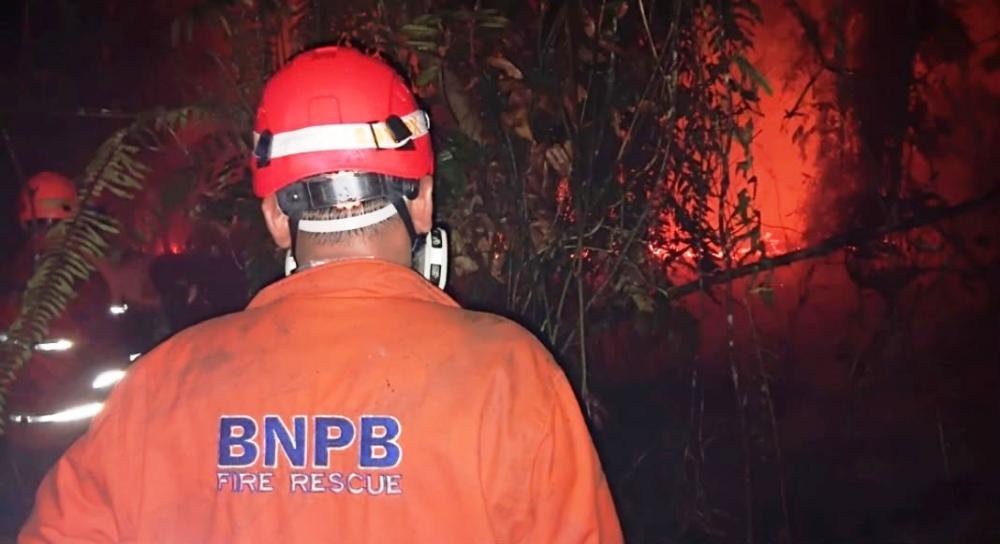 Karhutla Kaltim Capai 8.516 Hektare, DPR Akui Penanganan Belum Maksimal
