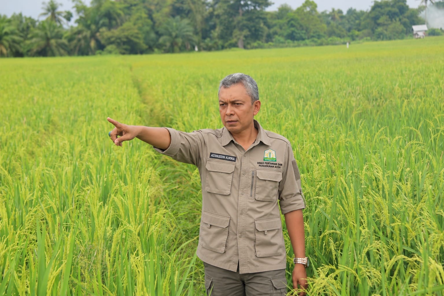 16.283 Hektare Sawah Rusak Berat di Aceh Masih Ditunggu Pendataan Ulang, Pemulihan Baru Diajukan ke Pusat 2027