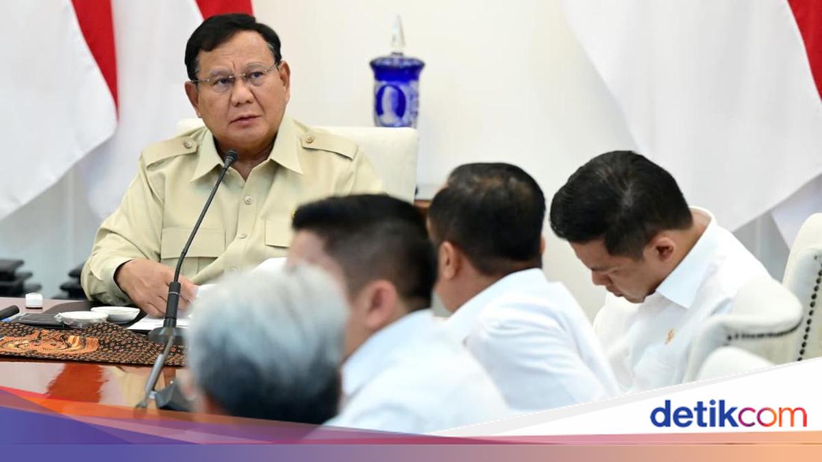 Presiden Prabowo Kirim 200 Pompa dan Rp 2 Miliar untuk Karhutla Tanjung Puting Kalteng