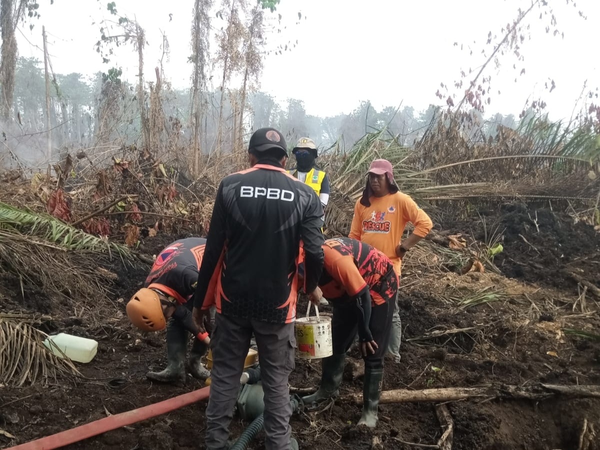 Karhutla di Tommo Mamuju Hanguskan 20 Hektare, 29 Personel Gabungan Kerahkan Jalur Pemutus Api