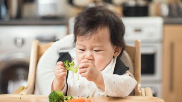 MPASI 6 Bulan: 15 Resep Makanan Bayi untuk Otak dan Berat Badan