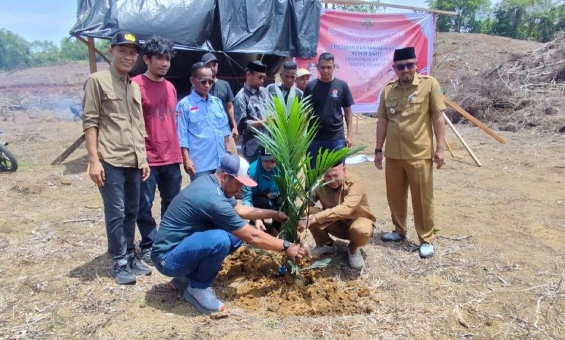Pemkab Aceh Jaya Kembangkan 60 Hektare Kebun Sawit untuk Eks Kombatan GAM di Sembilan Kecamatan
