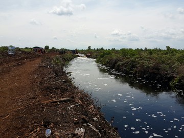 Riset iScience: Sekat Kanal Tumpang Tindih Paling Efektif Cegah Karhutla Gambut