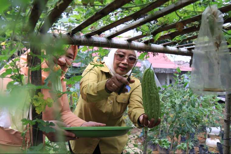PKK Kalbar Dorong 5 Gerakan Ketahanan Pangan Keluarga di Hari Pangan Sedunia ke-46