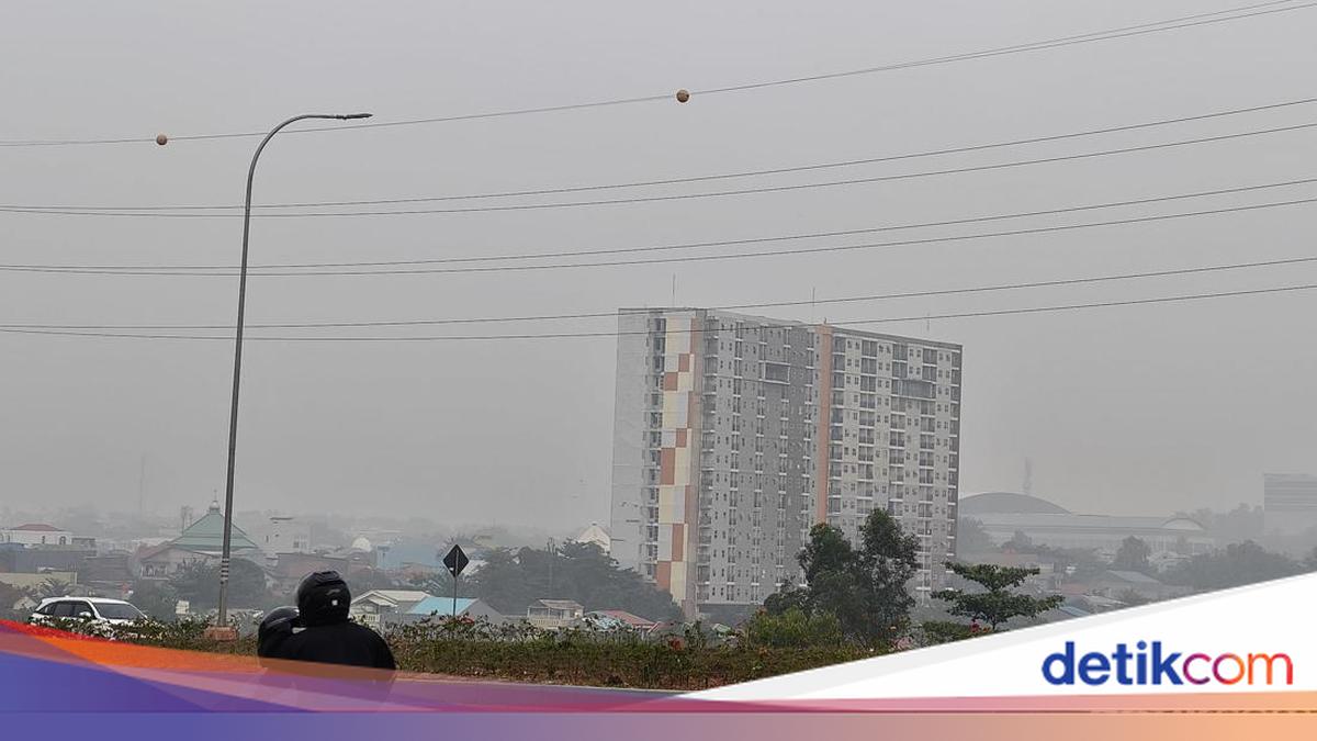 Kabut Asap Kepri Makin Pekat, Jarak Pandang di Bandara Hang Nadim Batam Turun Jadi 1,9 Km