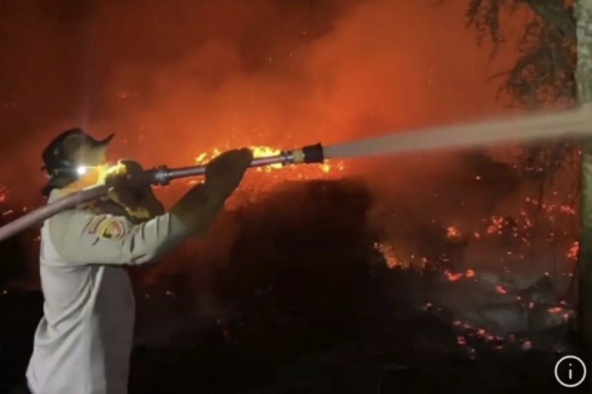 Kebakaran Lahan Gambut di Kotawaringin Timur Meluas ke Lahan Eks Perusahaan Sitaan, 15 Hektare Kebun Warga Terbakar