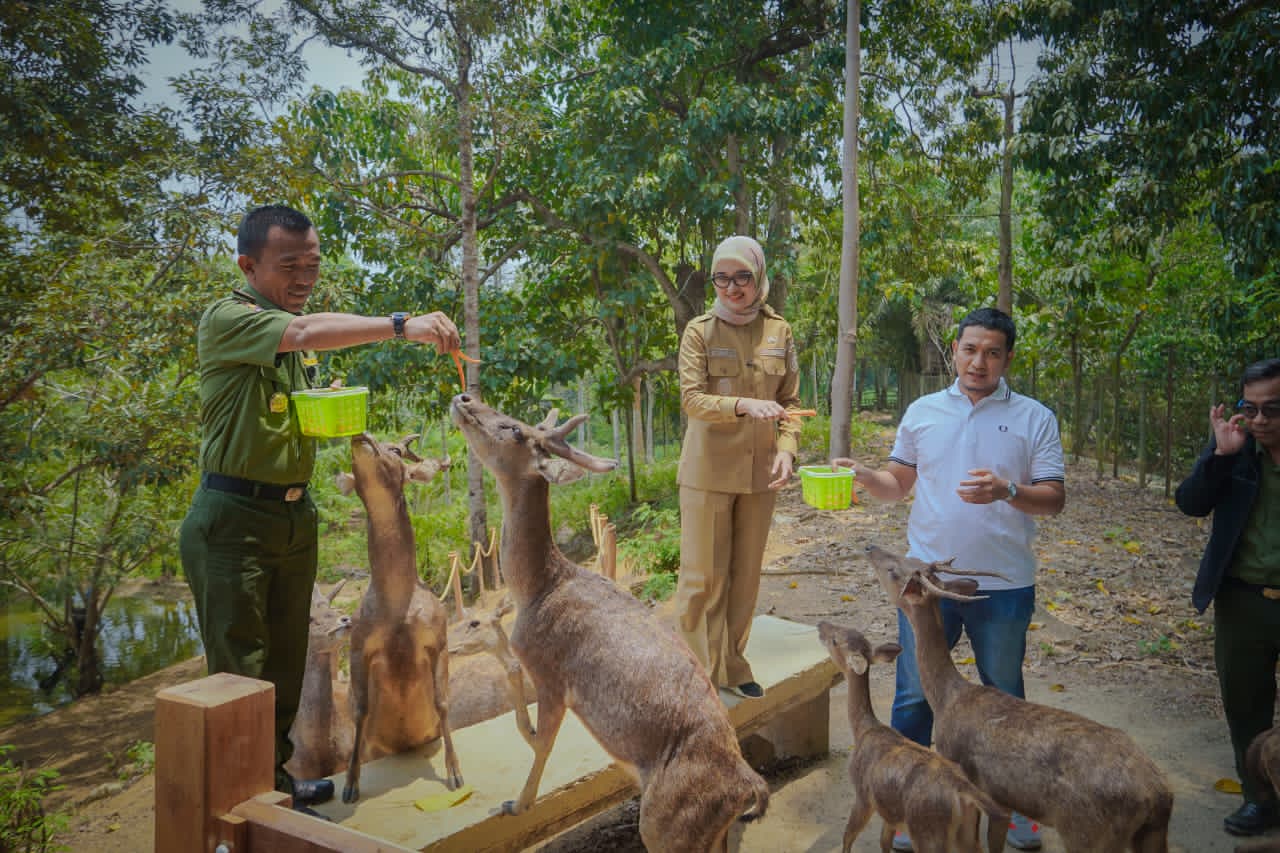 Wagub Lampung Jihan Nurlela Minta KPH dan Polhut Petakan Titik Rawan Kebakaran Hutan