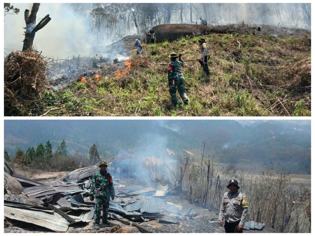 Karhutla di Nosu Mamasa Hanguskan 5 Hektare Lahan dan Satu Rumah Warga, Pemadaman Terkendala Medan