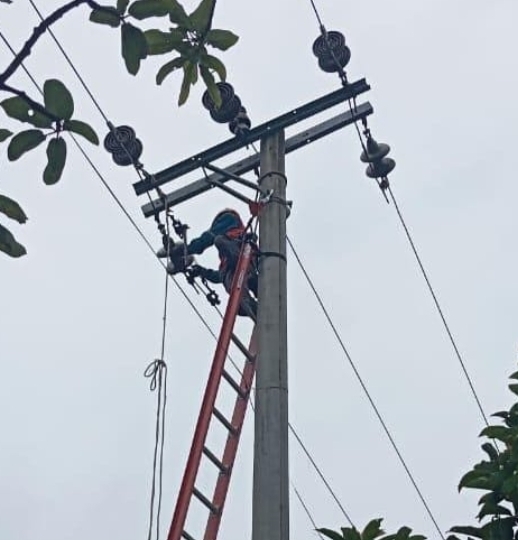 PLN Ganti Isolator Jaringan Penarik, Tekan Risiko Gangguan Listrik Mukomuko