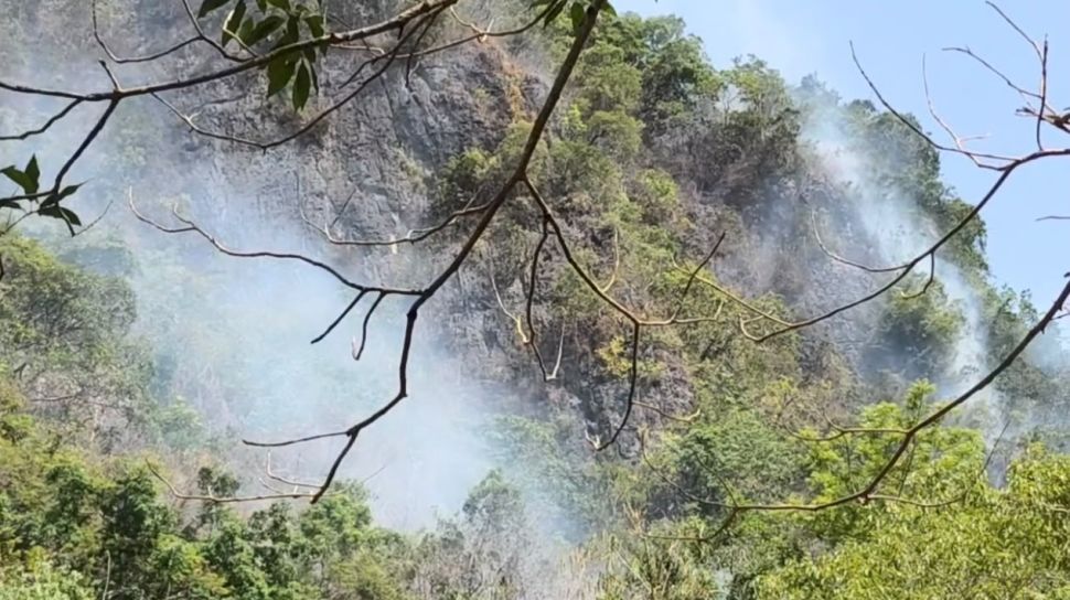 Kebakaran Hutan 26 Hektare di Karst Maros-Pangkep Ancam 400 Situs Lukisan Cadas Prasejarah
