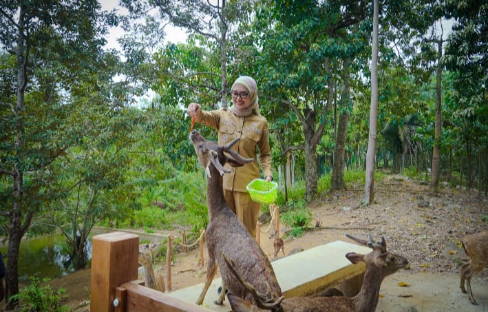 Wagub Lampung Jihan Nurlela Minta KPH Petakan Titik Rawan Kebakaran dan Perambahan Hutan