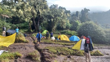 Jalur Pendakian Gunung Kerinci dan Danau Gunung Tujuh Dibuka Lagi Oktober 2026