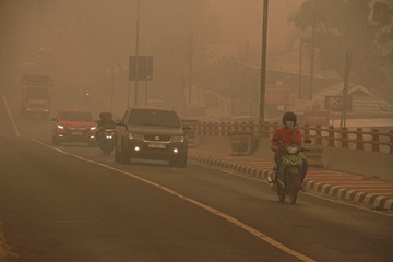 Riset Ungkap Gas Hidrogen Sianida di Balik Asap Karhutla Gambut