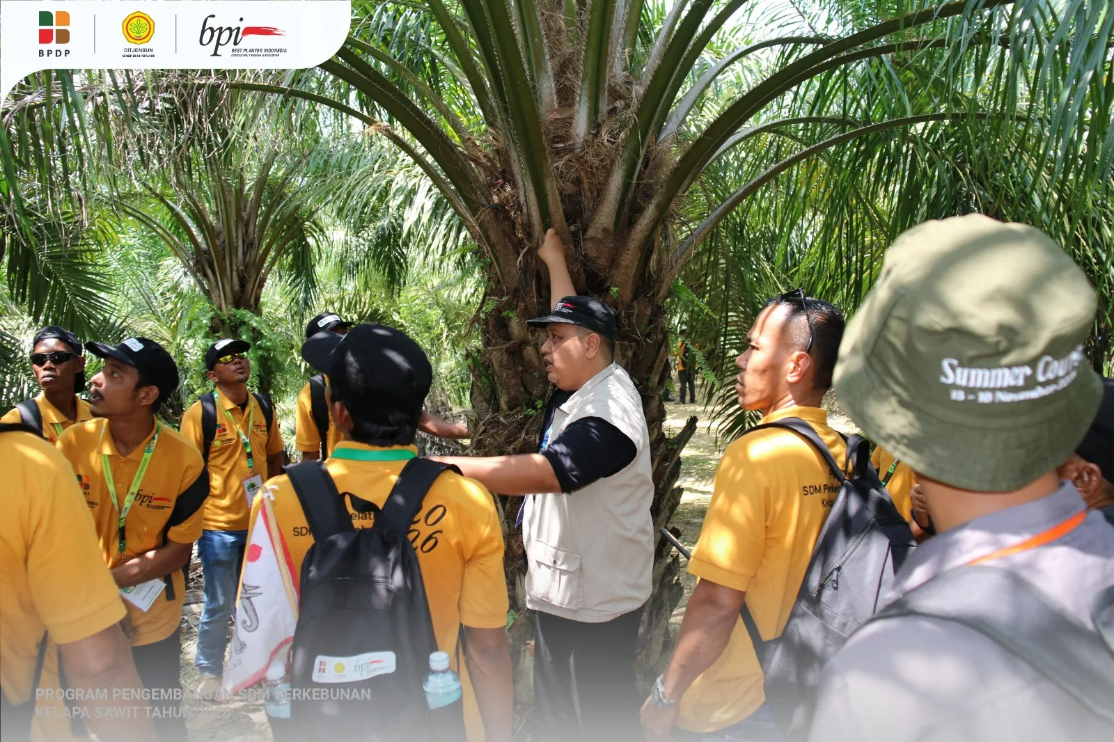 145 Petani Swadaya Aceh Timur Ikuti Pelatihan Benih Unggul Sawit di Banda Aceh