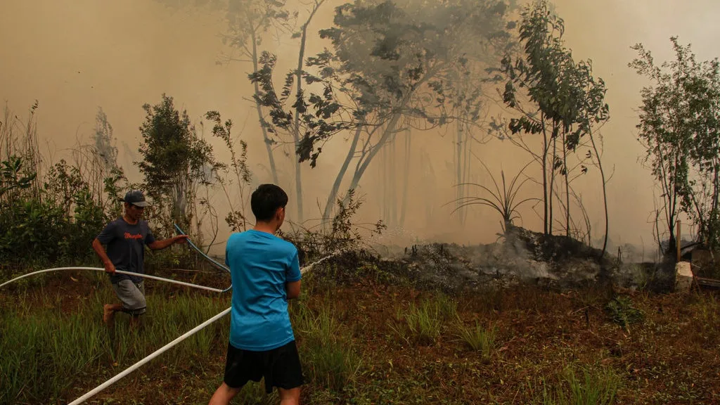 Karhutla Meluas, 793 Titik Panas Terdeteksi dan Wacana Status Bencana Nasional Menguat