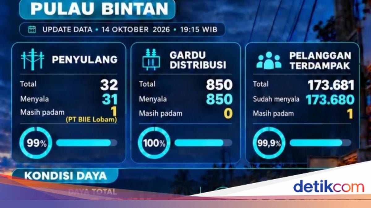 PLN Pulihkan Listrik 173.680 Pelanggan di Pulau Bintan, 850 Gardu Menyala Kembali
