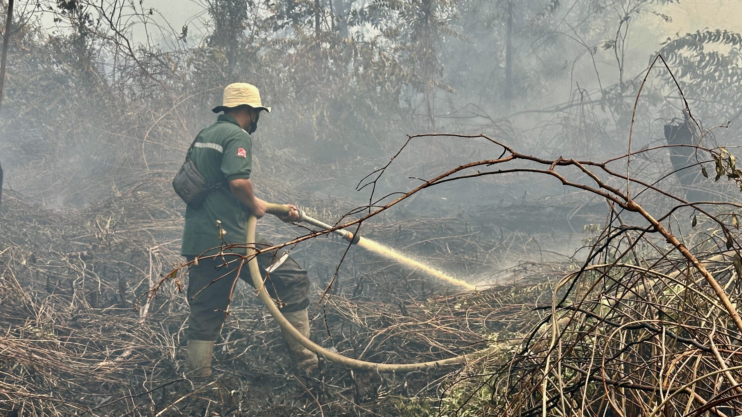 Kebakaran Gambut Jambi Capai 43.451 Hektare, 26.957 Warga Terpapar ISPA Sepanjang September 2026