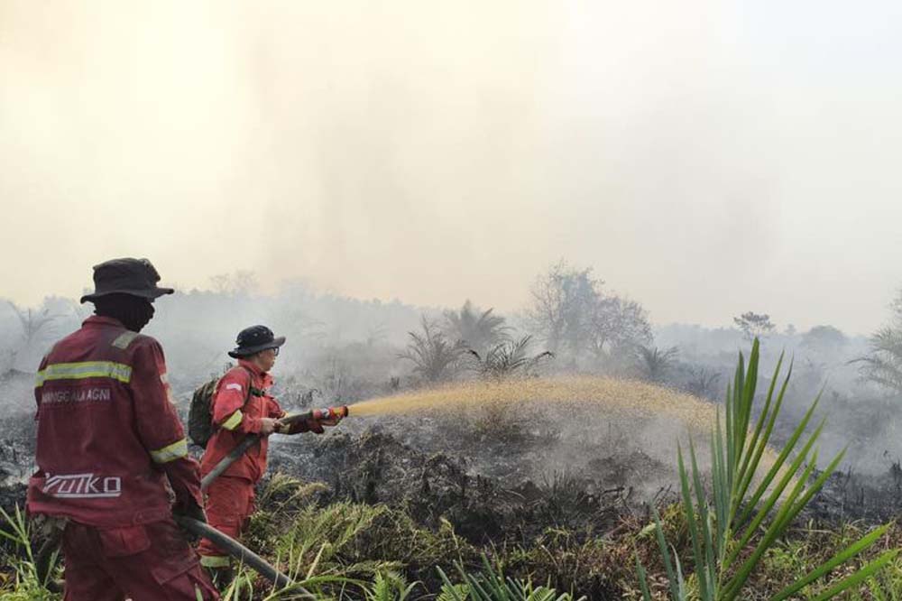 Karhutla di Jawa Tengah Berulang Tiap Kemarau, Dua Legislator DPR Desak Evaluasi Izin Sawit dan Tambang