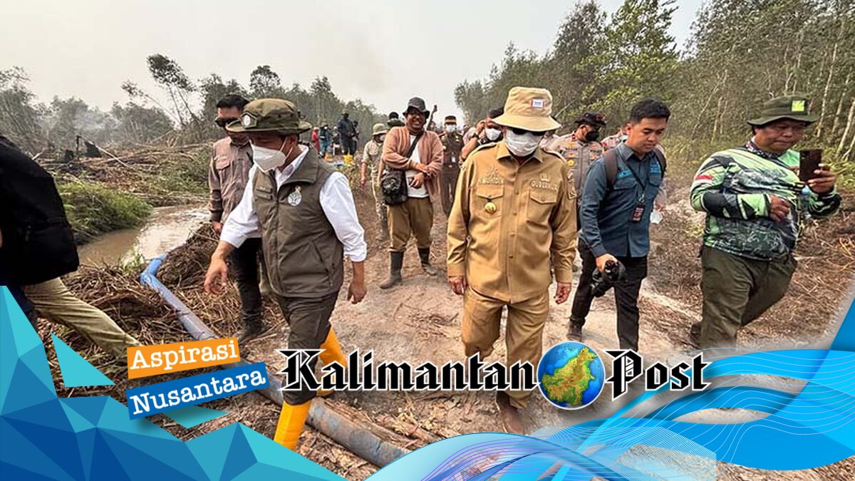 Kemenhut Salurkan Rp 100 Miliar Dana Banpres Karhutla Kalsel, Pemprov Terima Rp 30 Miliar