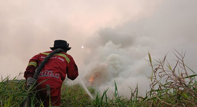 Kualitas Udara Palangka Raya Kategori Berbahaya, Hotspot Kalteng Masih Terbanyak di Indonesia
