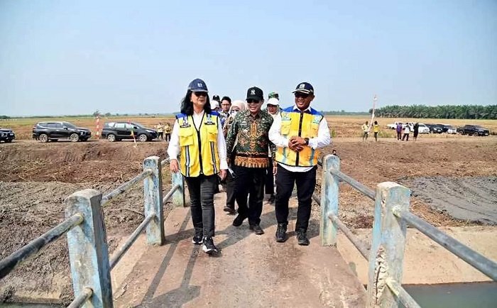 Normalisasi Sungai Way Pisang di Lampung Selatan Capai 90 Persen, Panen Padi Petani Palas Kini 9 Ton per Hektare