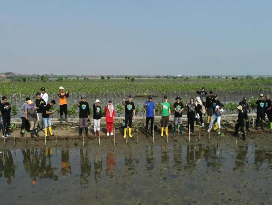 Satu Tahun Mageri Segoro, Pemprov Jateng Uji Metode Lumpur Karung untuk Tanam 1.300 Mangrove di Batang
