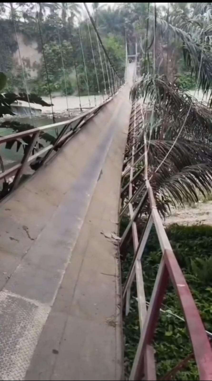 Jembatan Gantung Penghubung 2 Desa di Seluma Miring Nyaris Putus, 4 Petani Luka dan 2 Motor Tersangkut