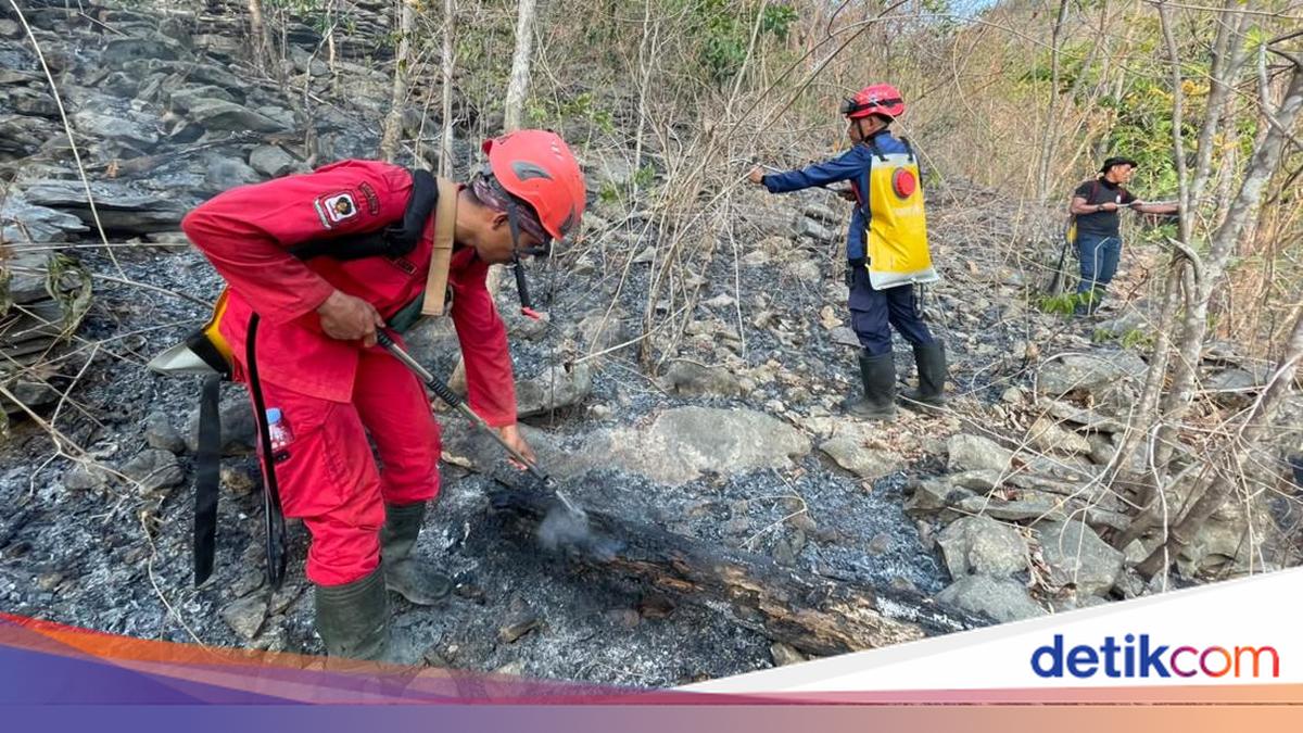 Karhutla TN Babul Pangkep Hanguskan 93,43 Hektare, 9 Titik Api Ancam Tarsius dan Lukisan Prasejarah 48 Ribu Tahun