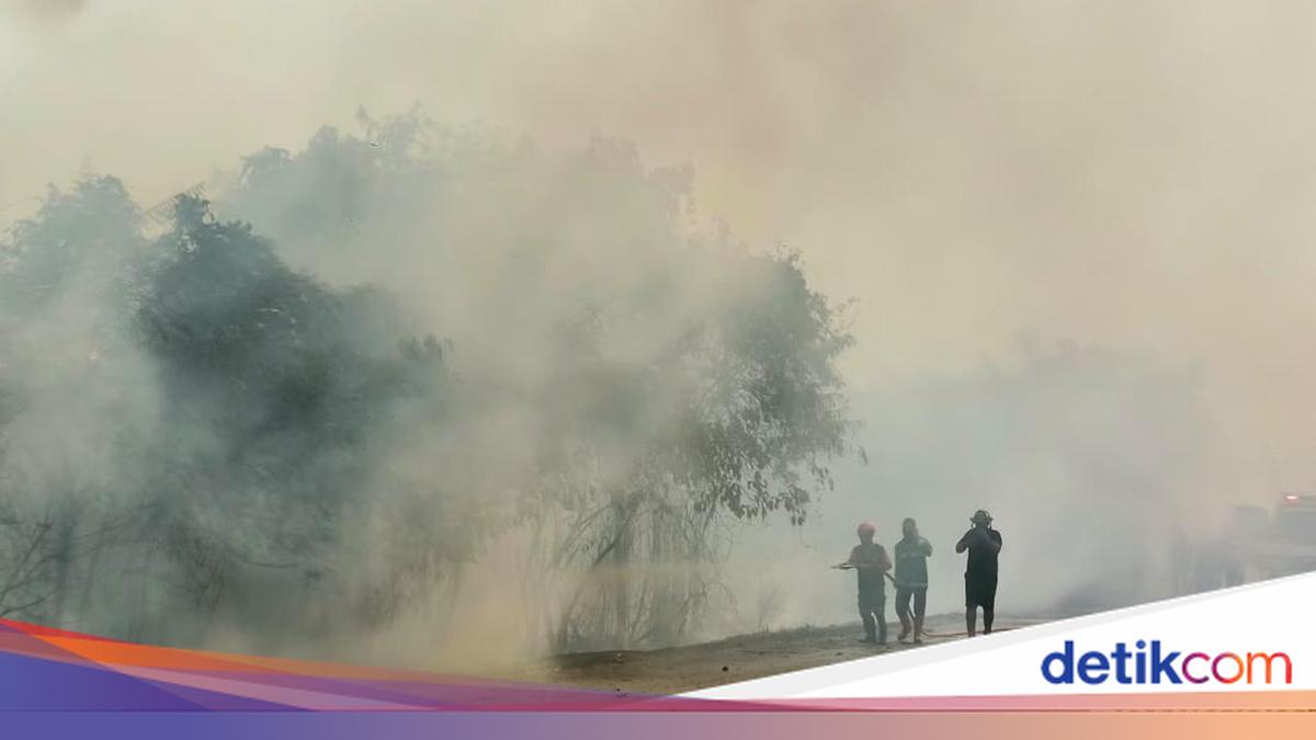 MUI Sulsel Luruskan Anggapan Asap Karhutla Dukhan Tanda Kiamat, Prof Muammar: Itu Bukan yang Dimaksud di Surah Ad-Dukhan