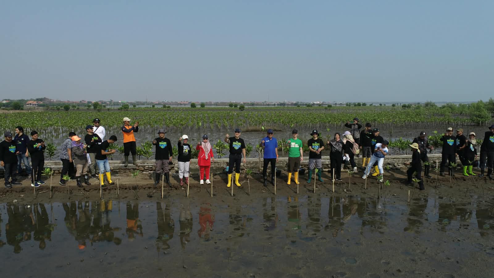 Setahun Mageri Segoro, Bhimasena Power Tanam 17.300 Mangrove di Pesisir Batang