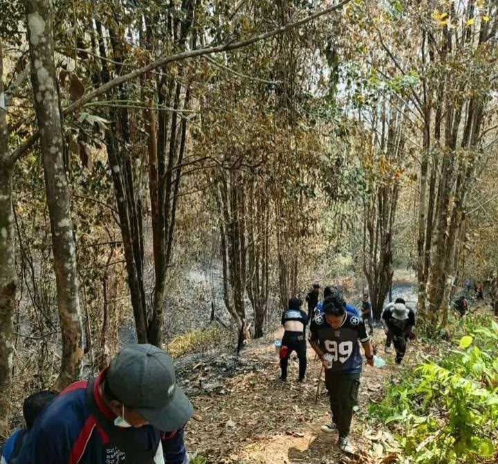 Karhutla Pulau Taliabu Hanguskan 645,78 Hektare Lahan, 21.318 Pohon Cengkeh Siap Panen Terbakar
