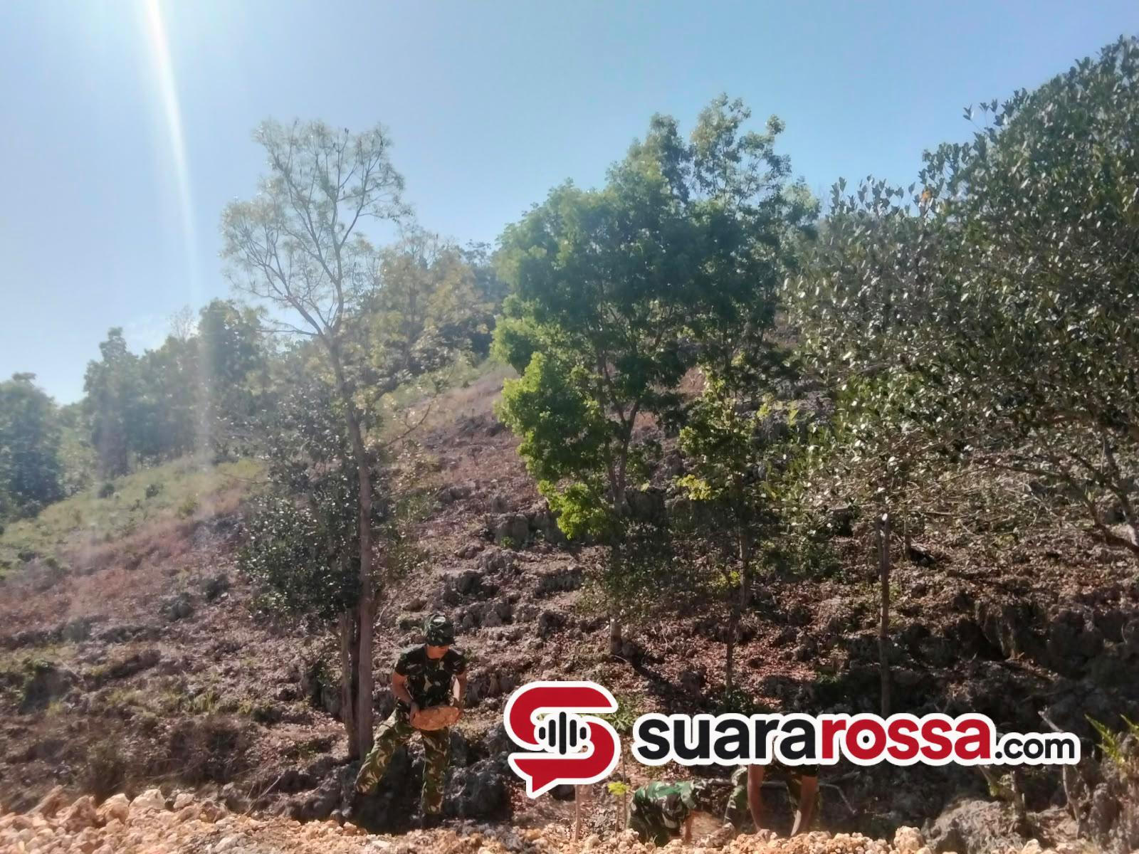 Satgas TMMD Kodim 1613/Sumba Barat Buka Badan Jalan 3.000 Meter di Desa Lingo Langa, Progres 8 Persen