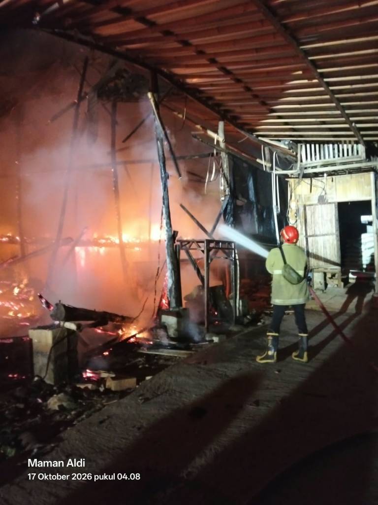 Kebakaran Kandang Ayam di Wonogiri Hanguskan 11.000 Anak Ayam, Kerugian Capai Rp 400 Juta