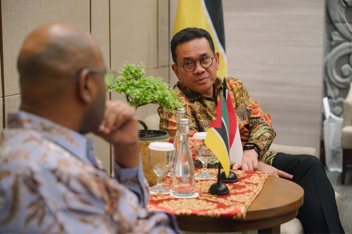 RI Jajaki Investasi Pengolahan Singkong di Mozambik, Bidik Pasar ASEAN