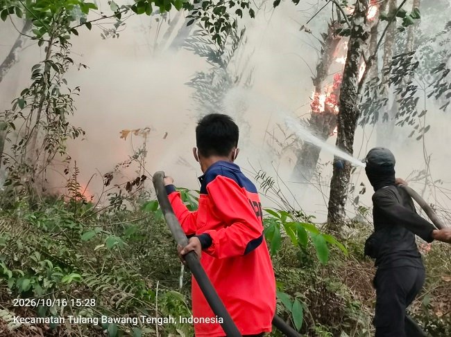 Karhutla di Tulang Bawang dan Lampung Tengah Terkendali, Asap di Ruas Tol Menggala Berkurang
