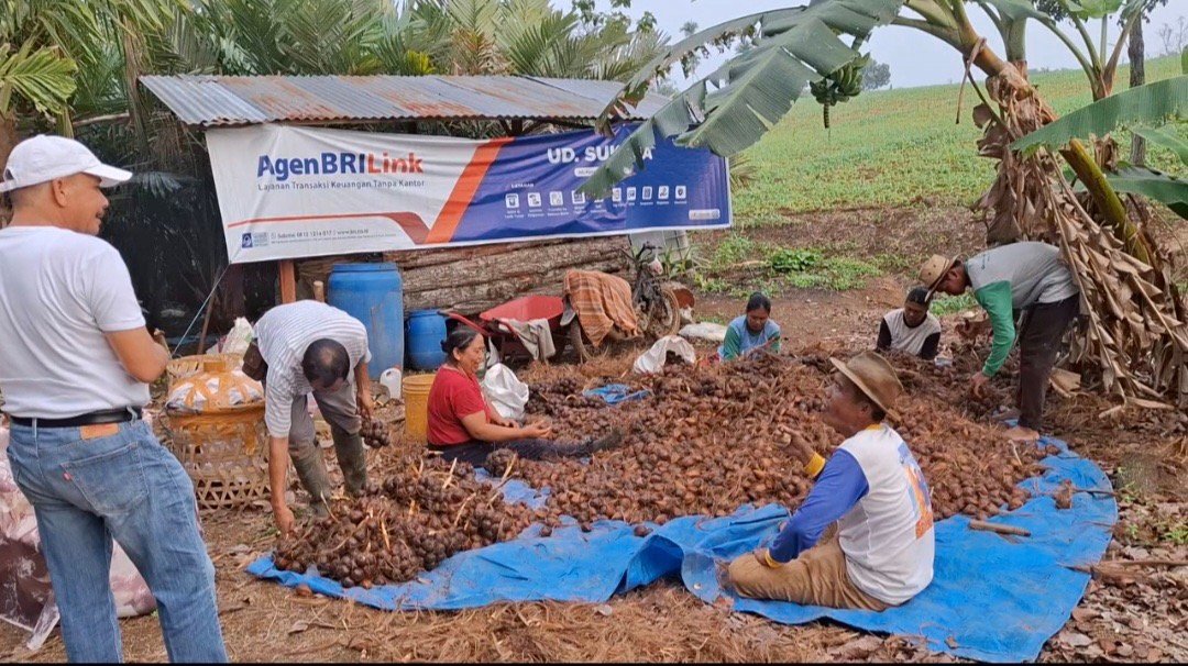 Anggota DPRD Karo Raja Edward Sebayang Serap Aspirasi Petani Uruk Biru Pametar, Usulkan Jalan Usaha Tani ke Dinas Pertanian