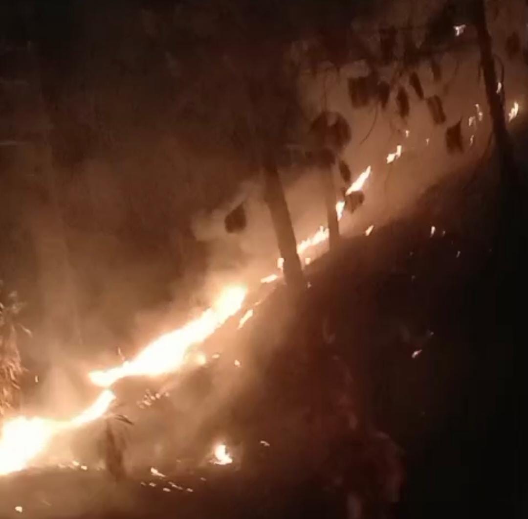 Hutan Pinus Guci Tegal Terbakar, Asap Hitam Selimuti Permukiman Warga Bumijawa
